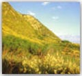 Parco naturale del San Bartolo