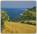 Vista panoranica del parco