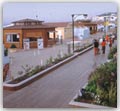 La passeggiata sulla spiaggia