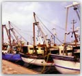 Barche attraccate sulla darsena
